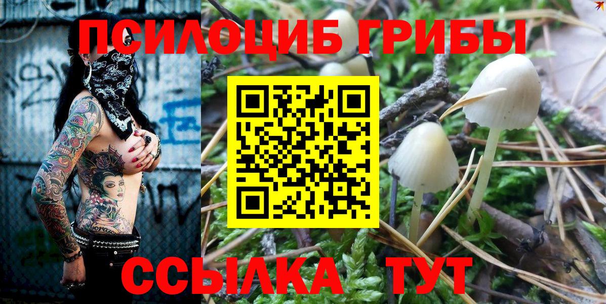 Псилоцибиновые грибы MAGIC MUSHROOMS Лабинск