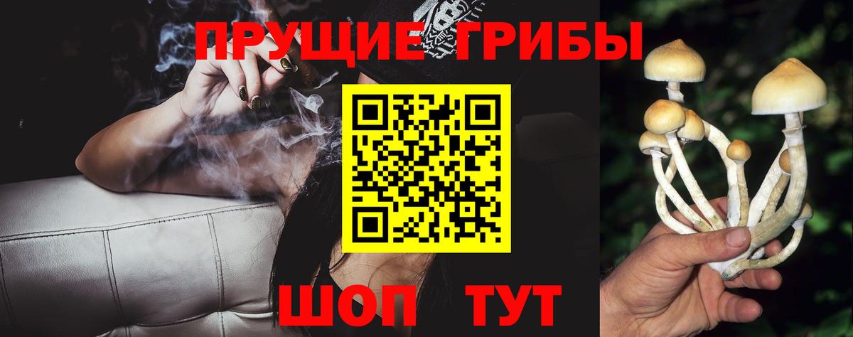 Лабинск  Псилоцибиновые грибы мухоморы  Вход с VPN 