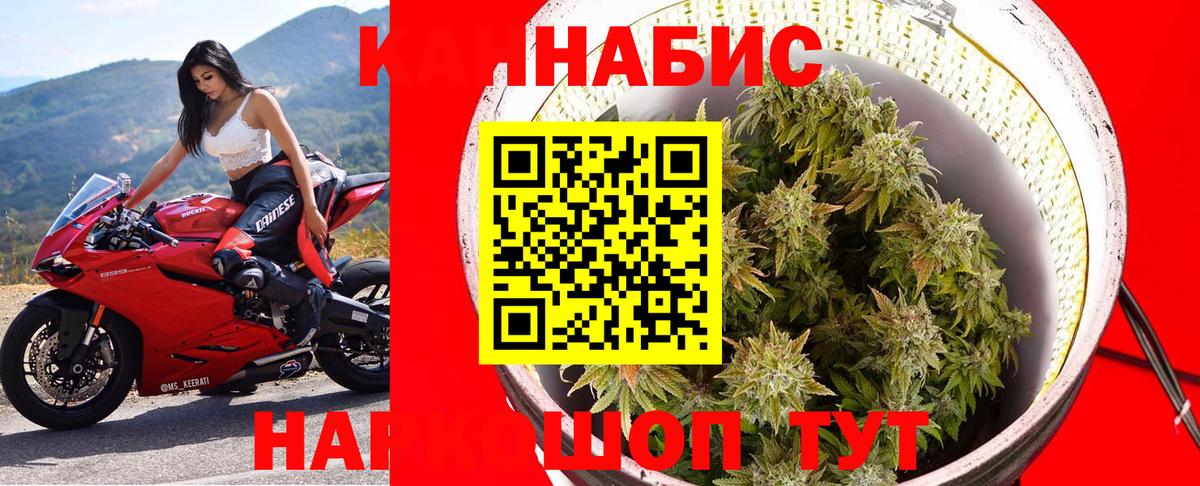 Шишки марихуана планчик  Вход с VPN  Лабинск  Бошки Шишки планчик 